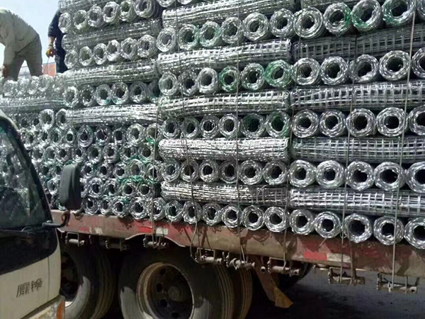 安平青海鄭經理經緯網發貨