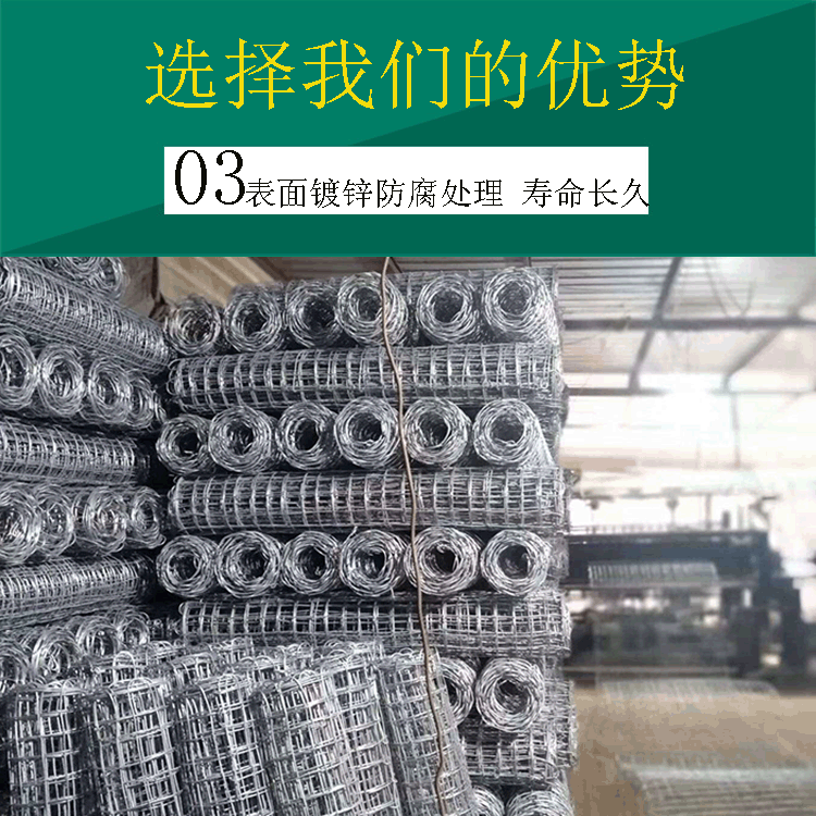 1586954614529270.gif 經(jīng)緯網(wǎng)優(yōu)勢(shì)3改好.gif