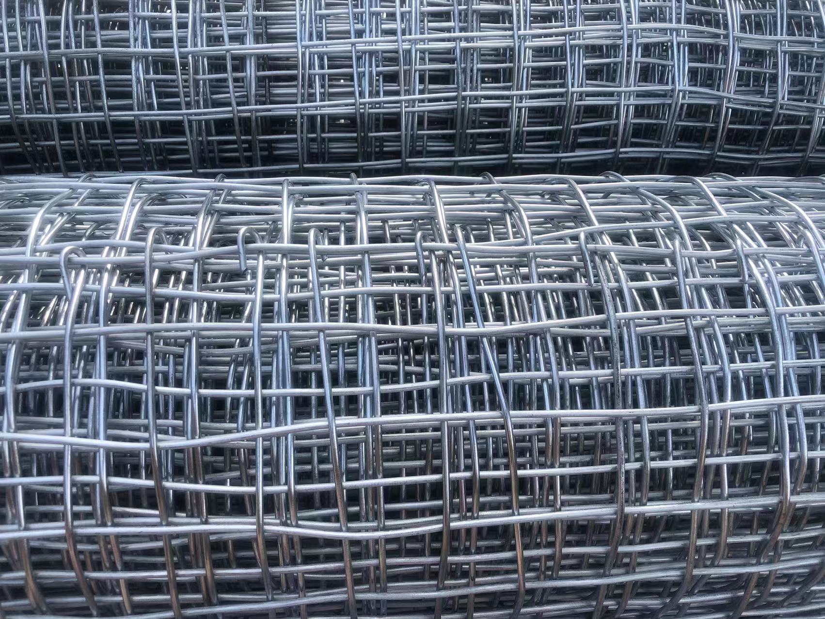 煤礦井下用經緯形金屬網圖片2